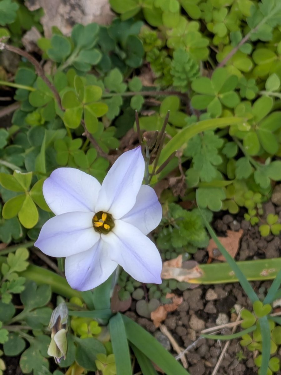 本日。乃木坂。