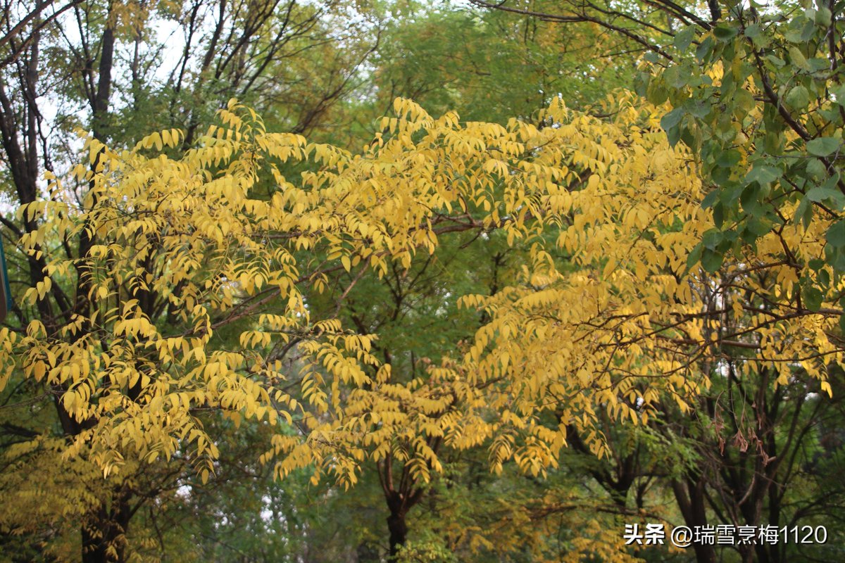 David Elgin520 tweet media