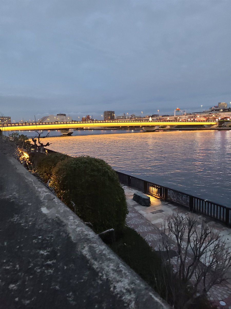 코레키리토수집반 tweet media