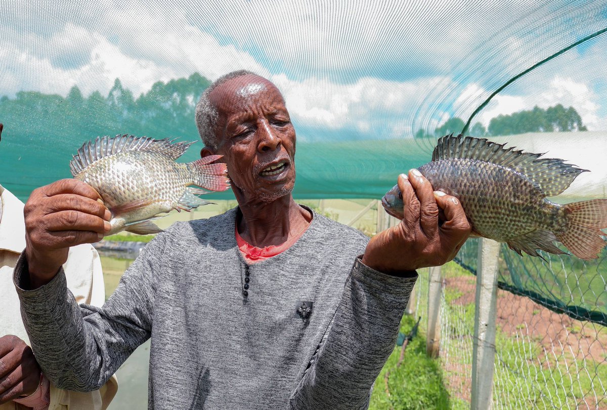 Financing Locally-Led Climate Action Program tweet media