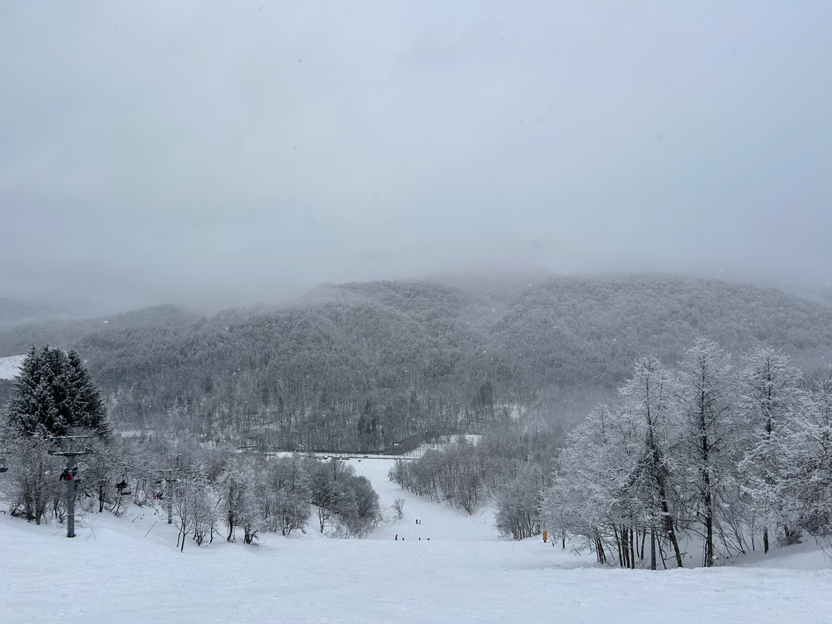 eplink_info's tweet image. 家族でスキー初滑りに行きました。
雪が降りやんだ合間、目の前の森林がまるで水墨画のような風景でとても感動しました。

#CRC #SMO #転職