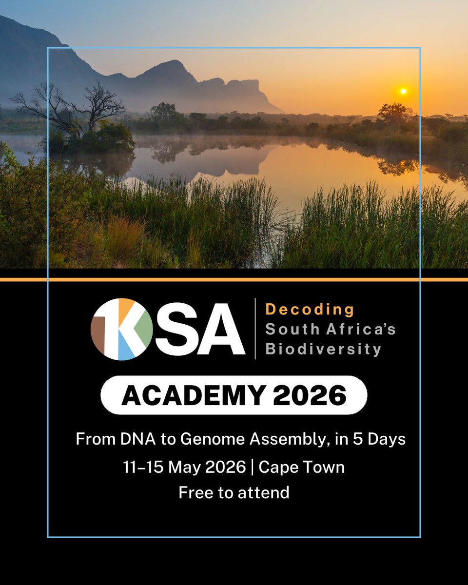 DIPLOMICS tweet media