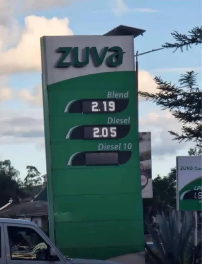 Zimbabwean-Xhosa 🇿🇼 🇲🇿 tweet media