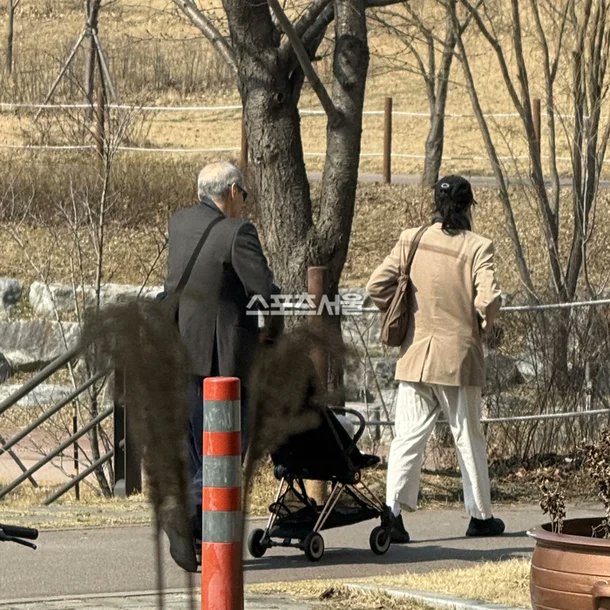 나무처럼 tweet media