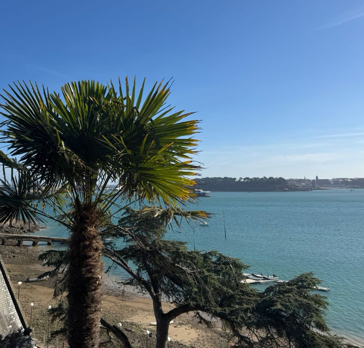 AZALÉE ☯️ 🦋 🕊 🦋 ☯️ tweet media