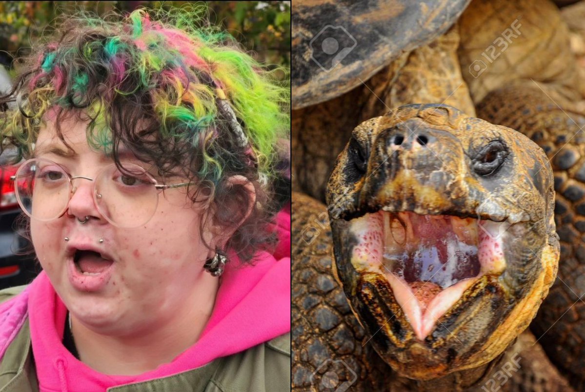 COLDJACK tweet media