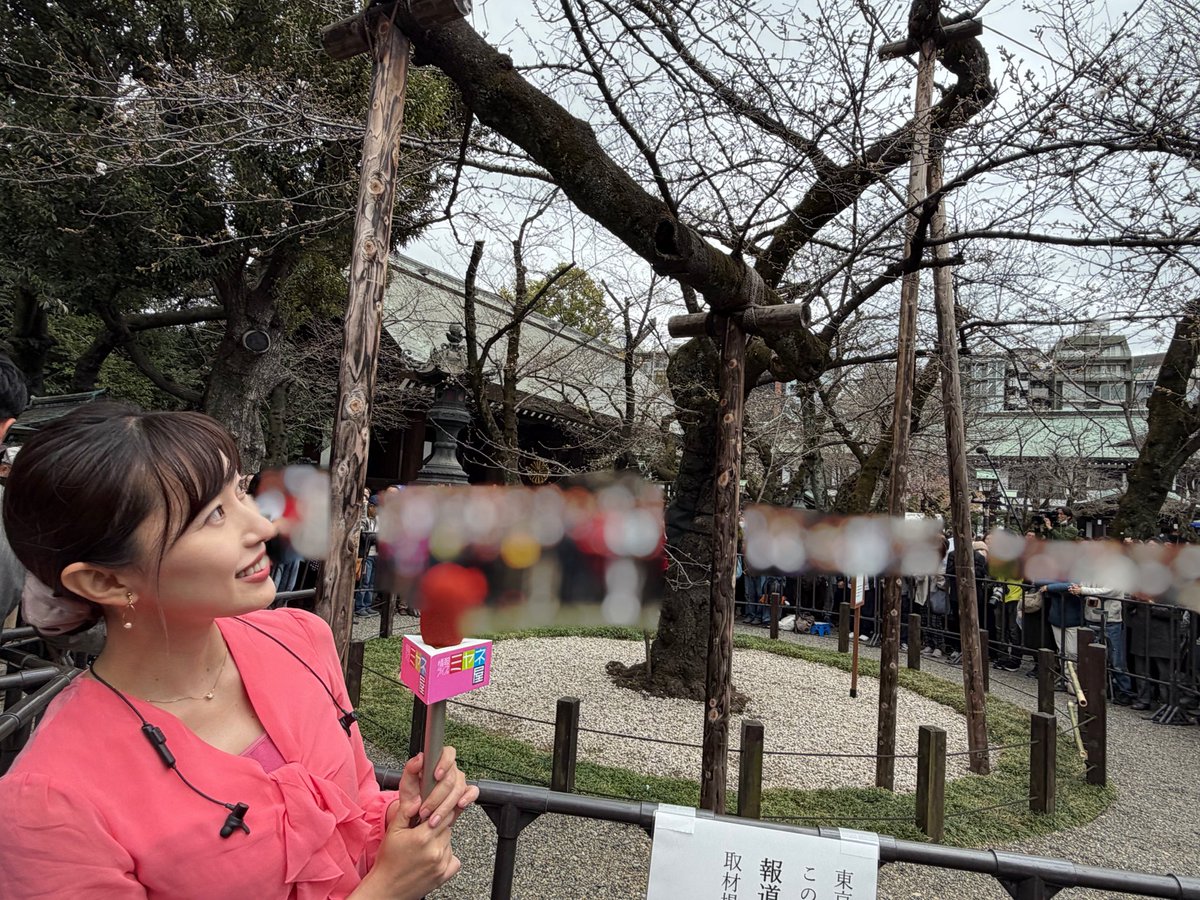 楠 紗友里（Sayuri Kusunoki) tweet media