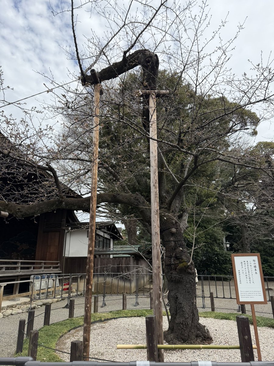 楠 紗友里（Sayuri Kusunoki) tweet media