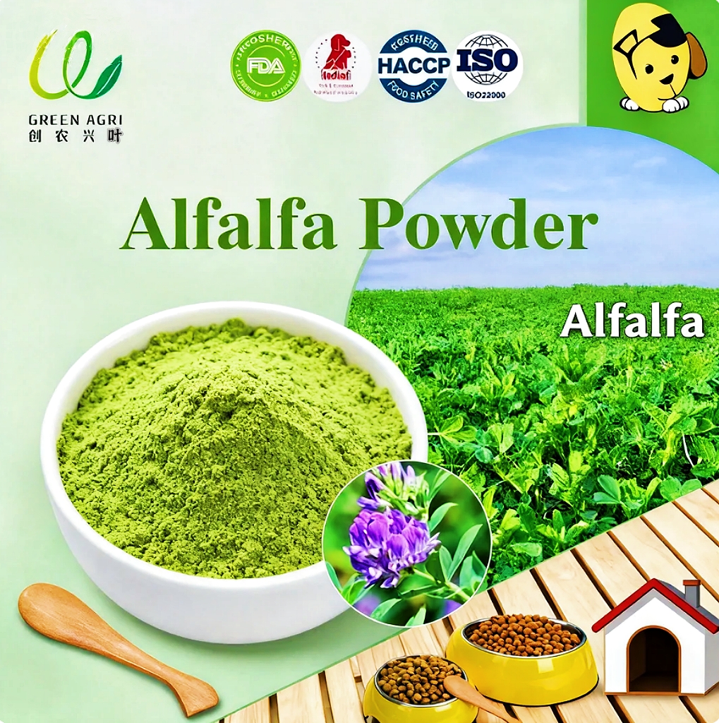 natashana455672's tweet image. Elevate Pet Nutrition with Premium Alfalfa Powder – Nature's Multivitamin for Pets
linkedin.com/feed/update/ur…

#AlfalfaPowder #PetFoodIngredients #FunctionalIngredients #CleanLabel #PetNutrition #B2BSupplier #B2B #NaturalPetFood #DigestiveHealth #NaturalNutrition #AnimalNutrition