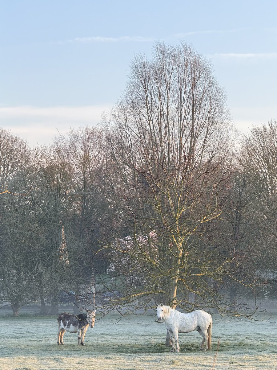 Simon Chapman tweet media