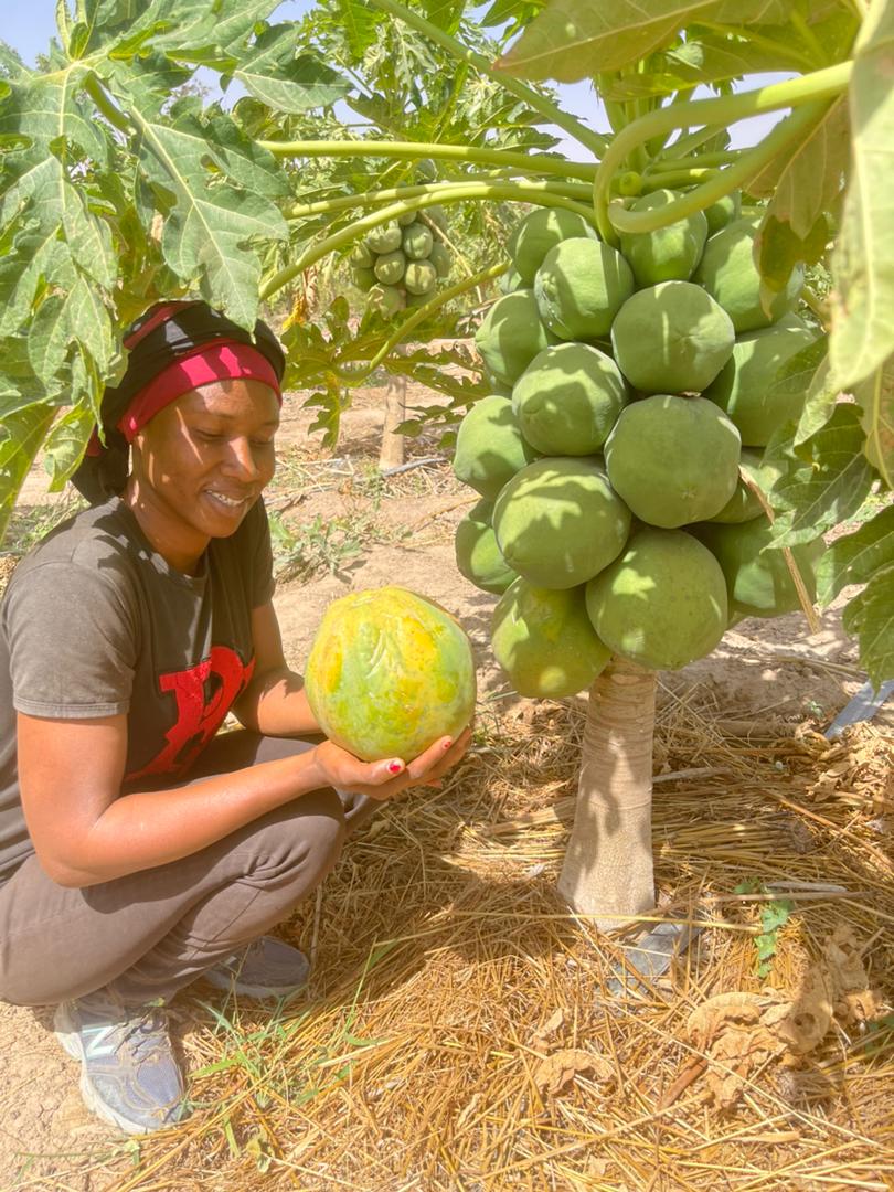 Elielle Cherifa Zerbo tweet media