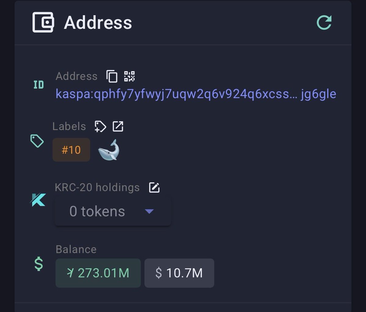 Kaspa Daily tweet media