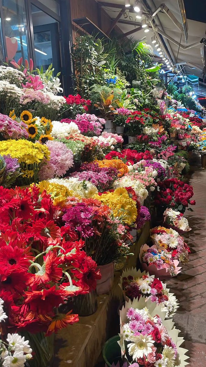 Bloomify tweet media