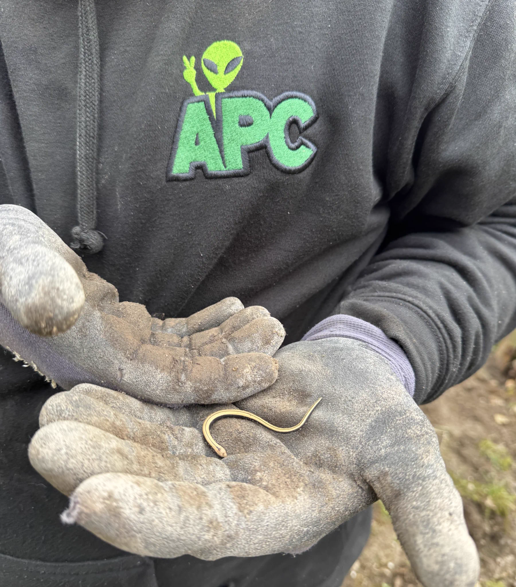 Alien Plant Control Ltd (@alienplantsltd) / X