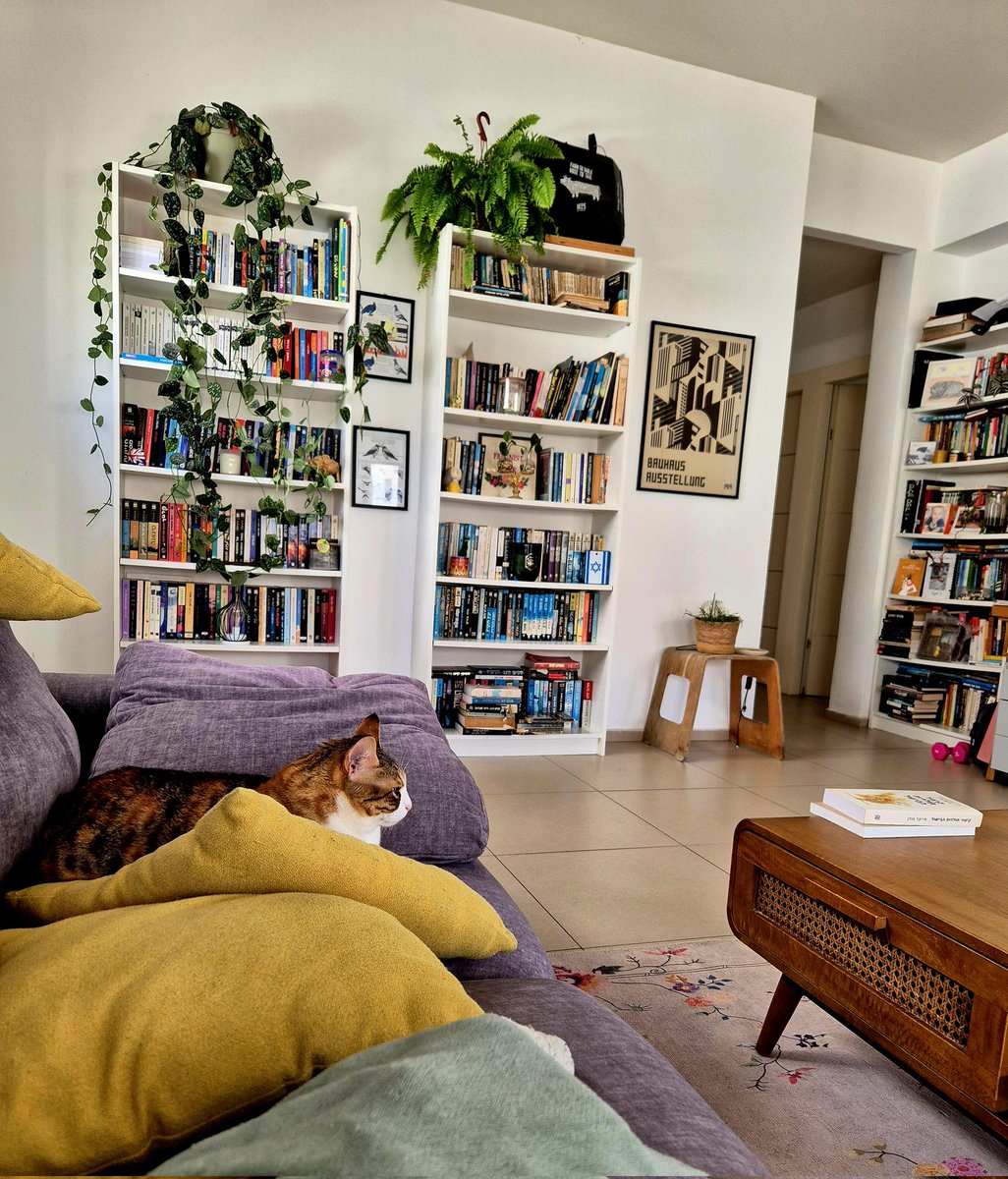 זאתי tweet media