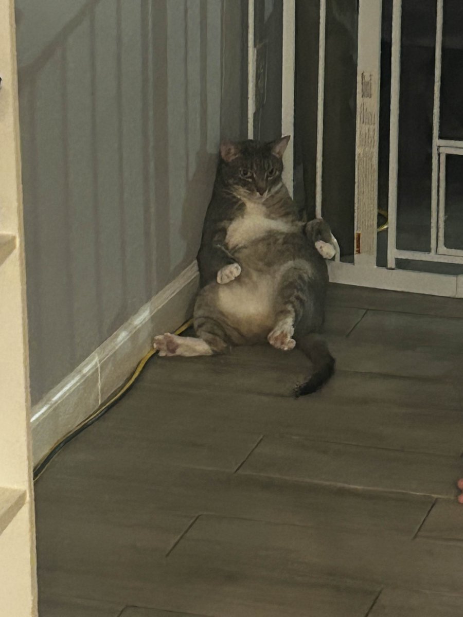 𓅓🍉 Left Foo🍉𓅃 tweet media