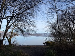 Donald Macaskill tweet media