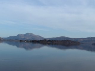 Donald Macaskill tweet media