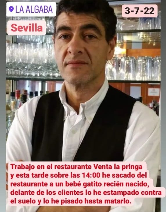 MiguelPcb531's tweet photo. Que es un pvto fascista votante de ultraderecha, ni cotiza. https://t.co/jc91QKBQmj