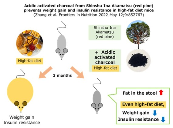 Shinshu University tweet media