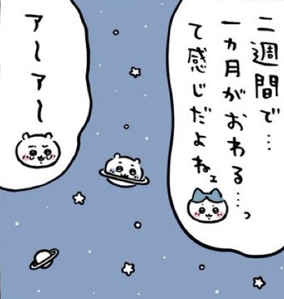 しろくま🐻‍❄️✨ tweet media