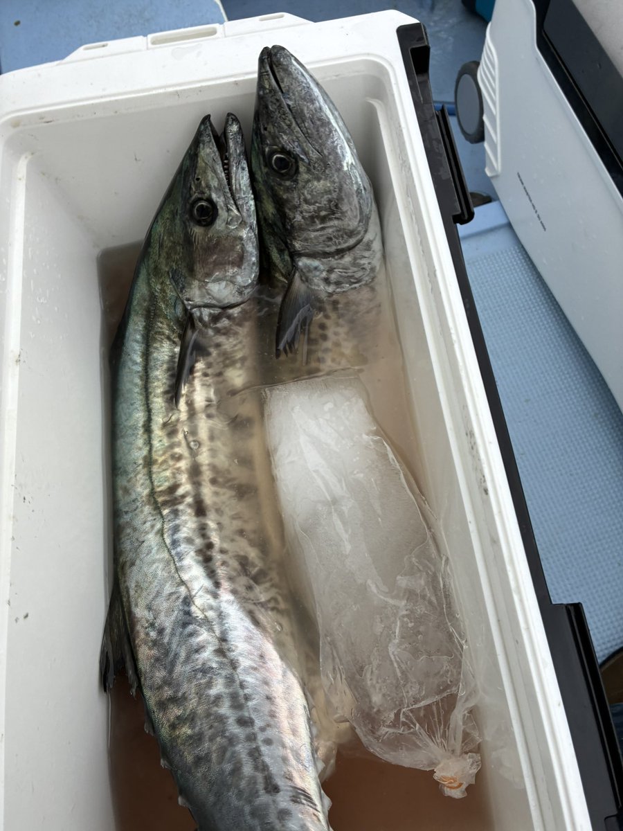 ハンドクリーム tweet media