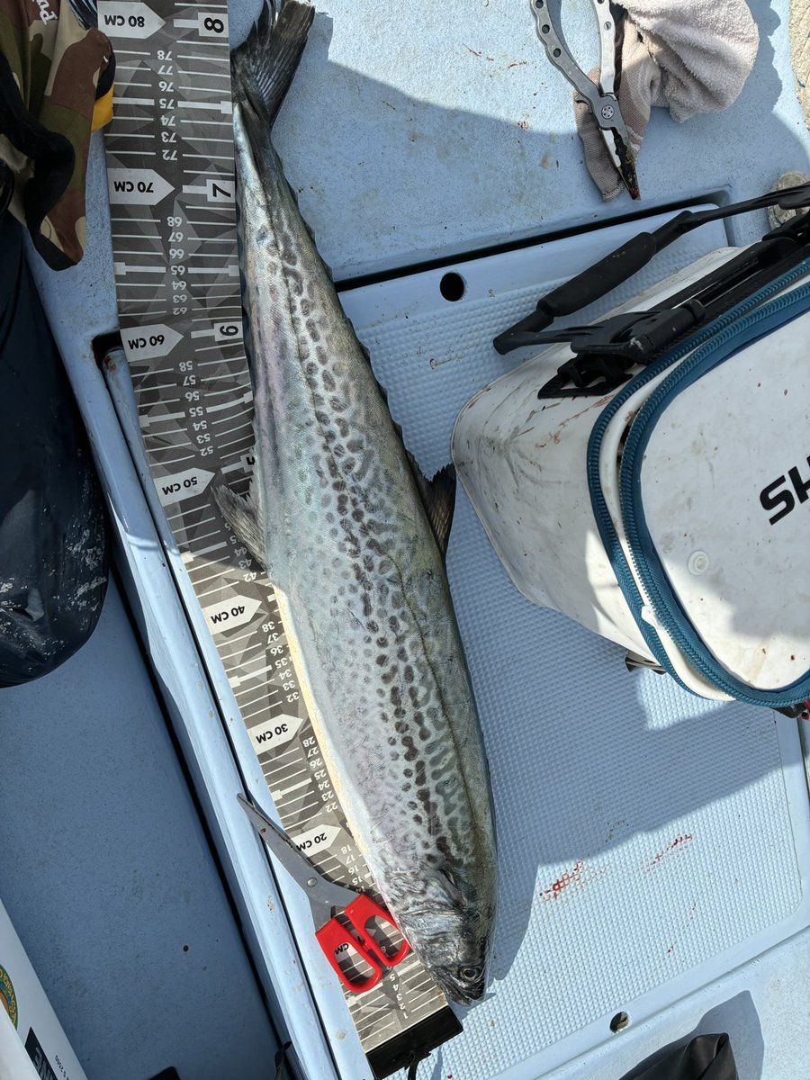 ハンドクリーム tweet media