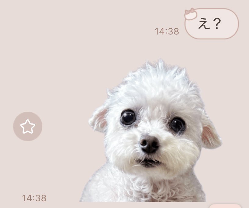 yellowbaspring's tweet photo. ありえないかわいい https://t.co/skMmXWBUw9