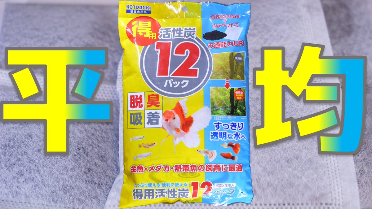 ふぶきテトラ(Fubuki Tetra) tweet media