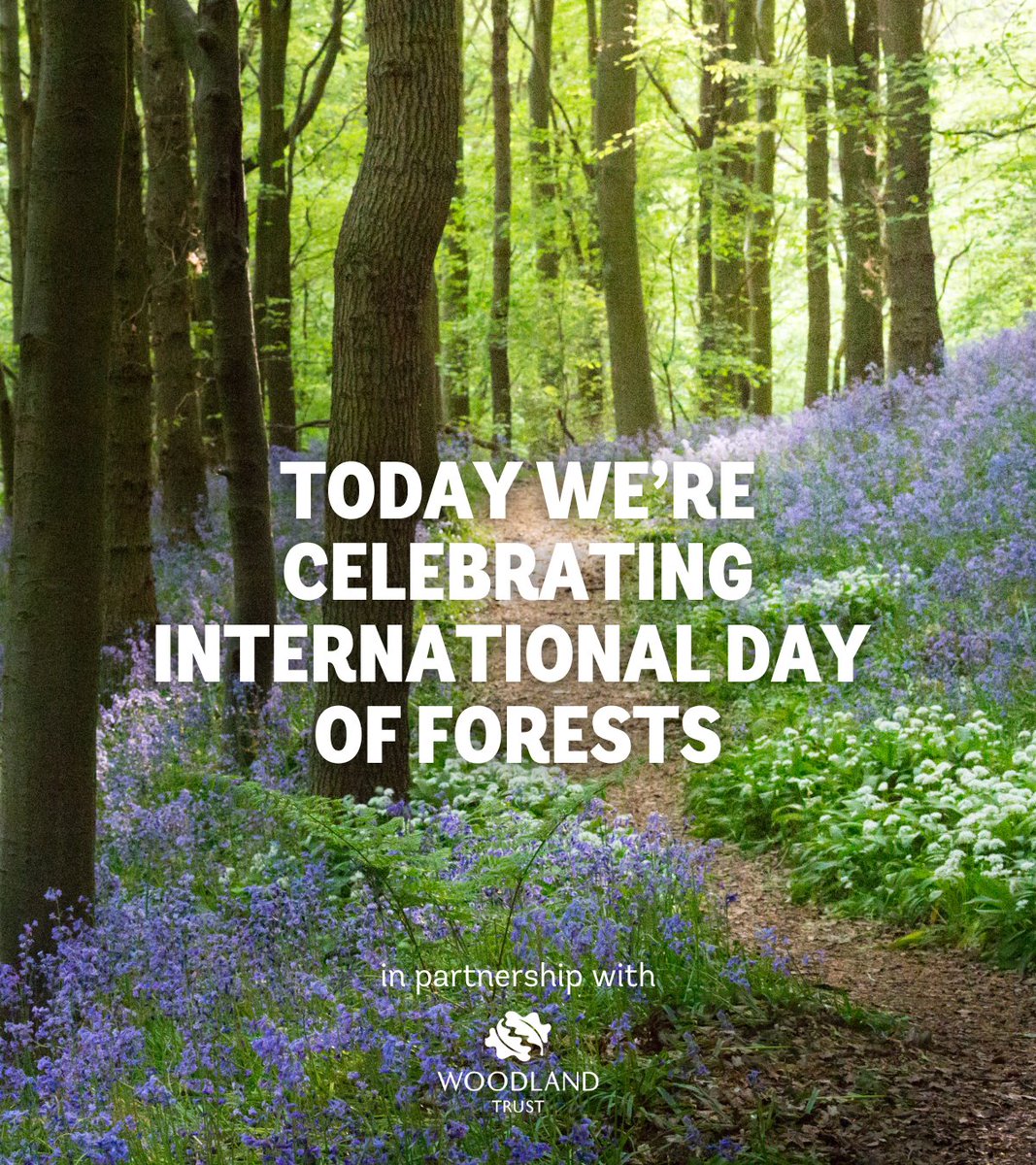The Forest of Biologists tweet media