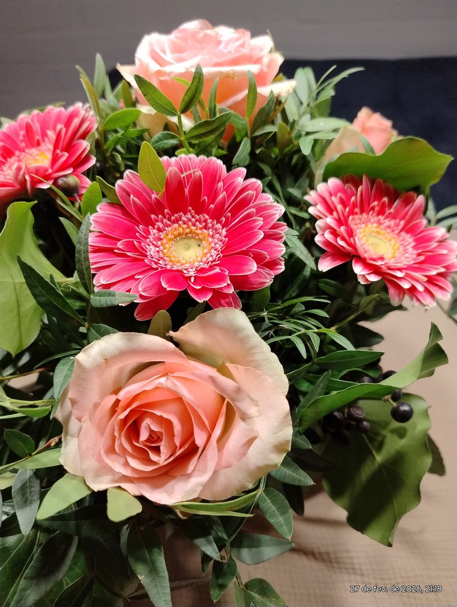 Anne..🎈🌹🎈🎉🎁 tweet media