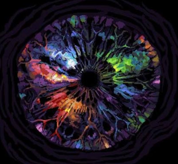 ★Bibi/Benny🇮🇹★ tweet media