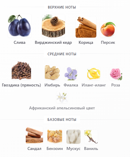 ANYA KINDHEART 🦇 tweet media