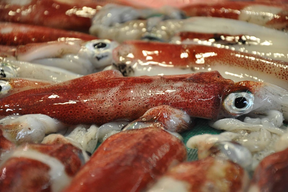 Jim McClelland tweet media