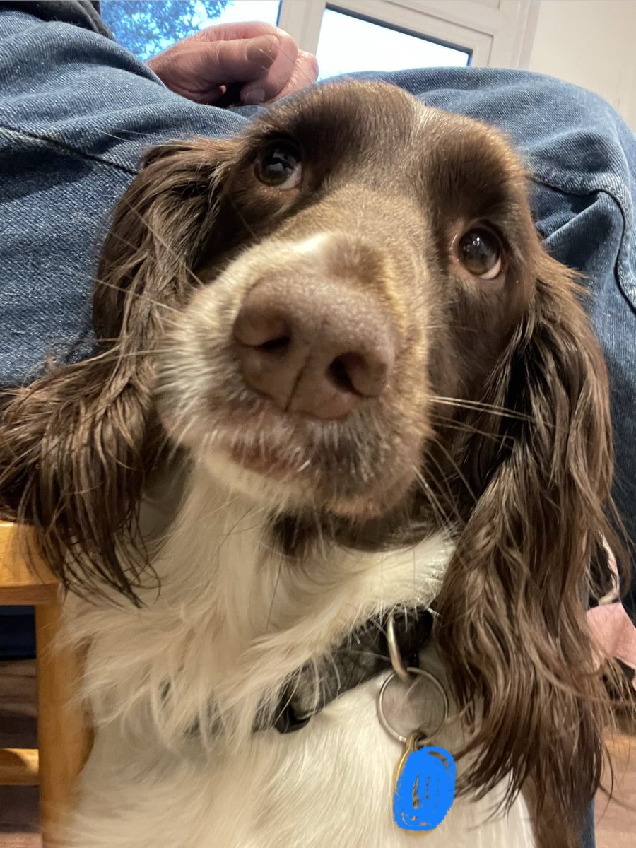 Albertspanners Dad tweet media