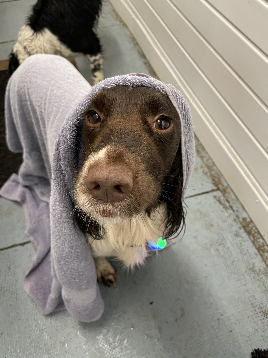 Albertspanners Dad tweet media