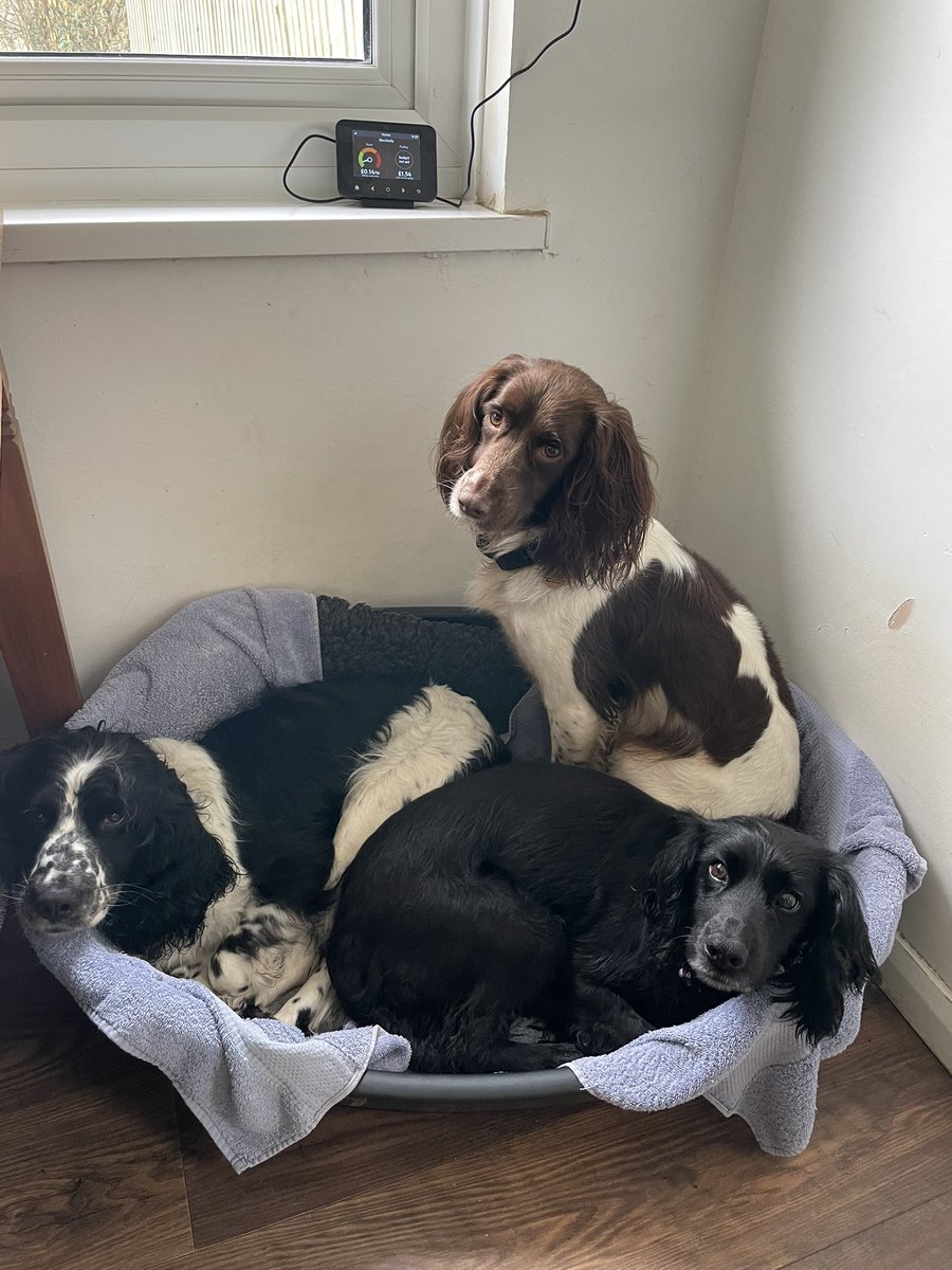 Albertspanners Dad tweet media