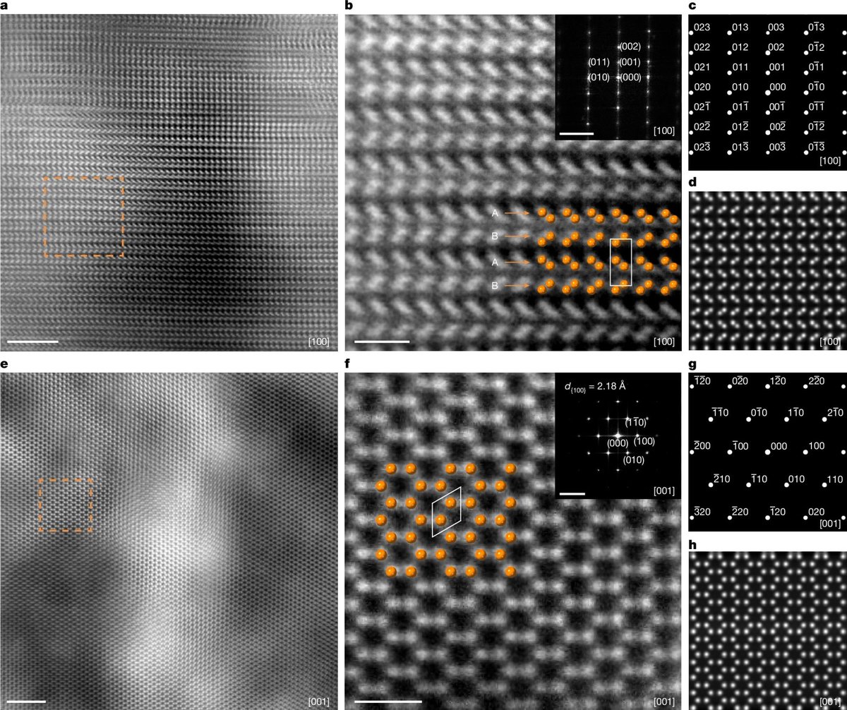 People's Daily, China tweet media