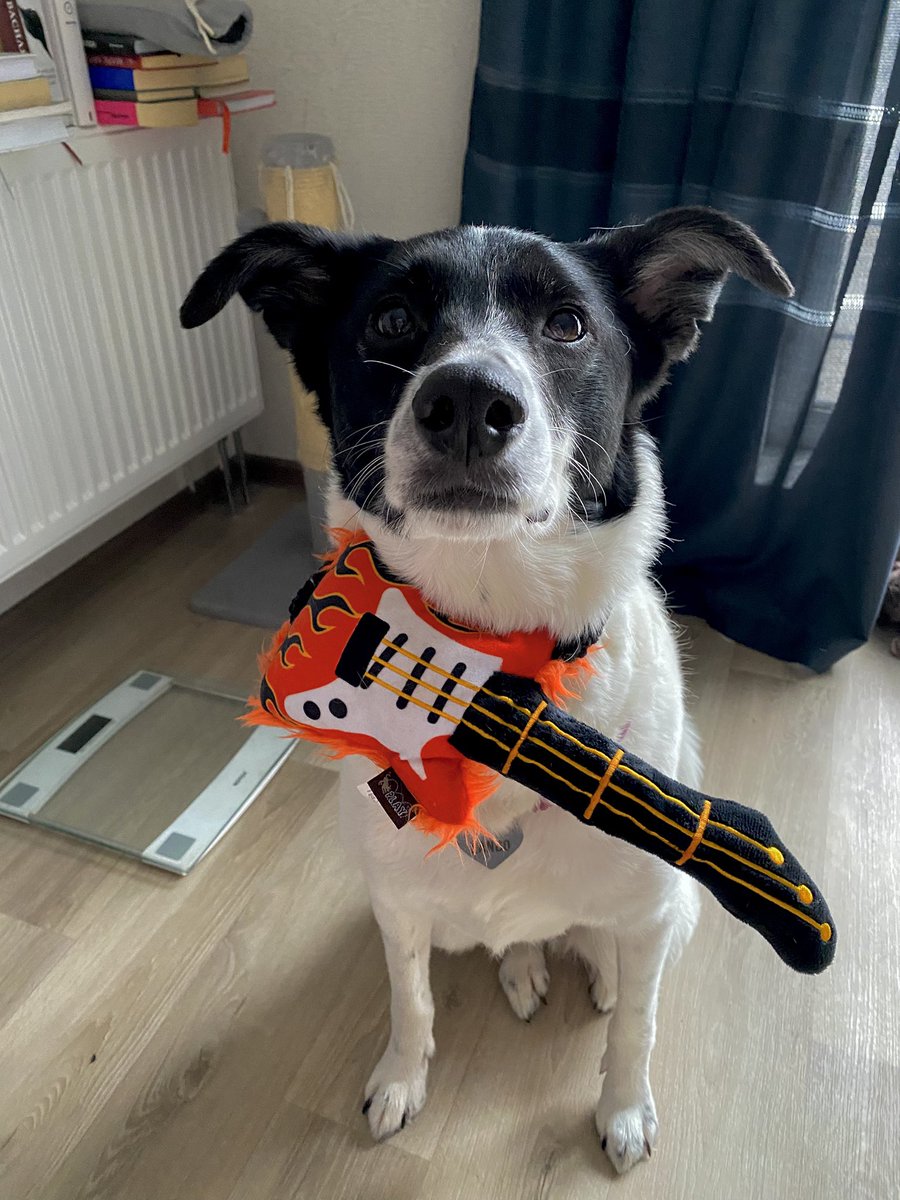 Disco Queen 🧚🏼‍♂️ tweet media