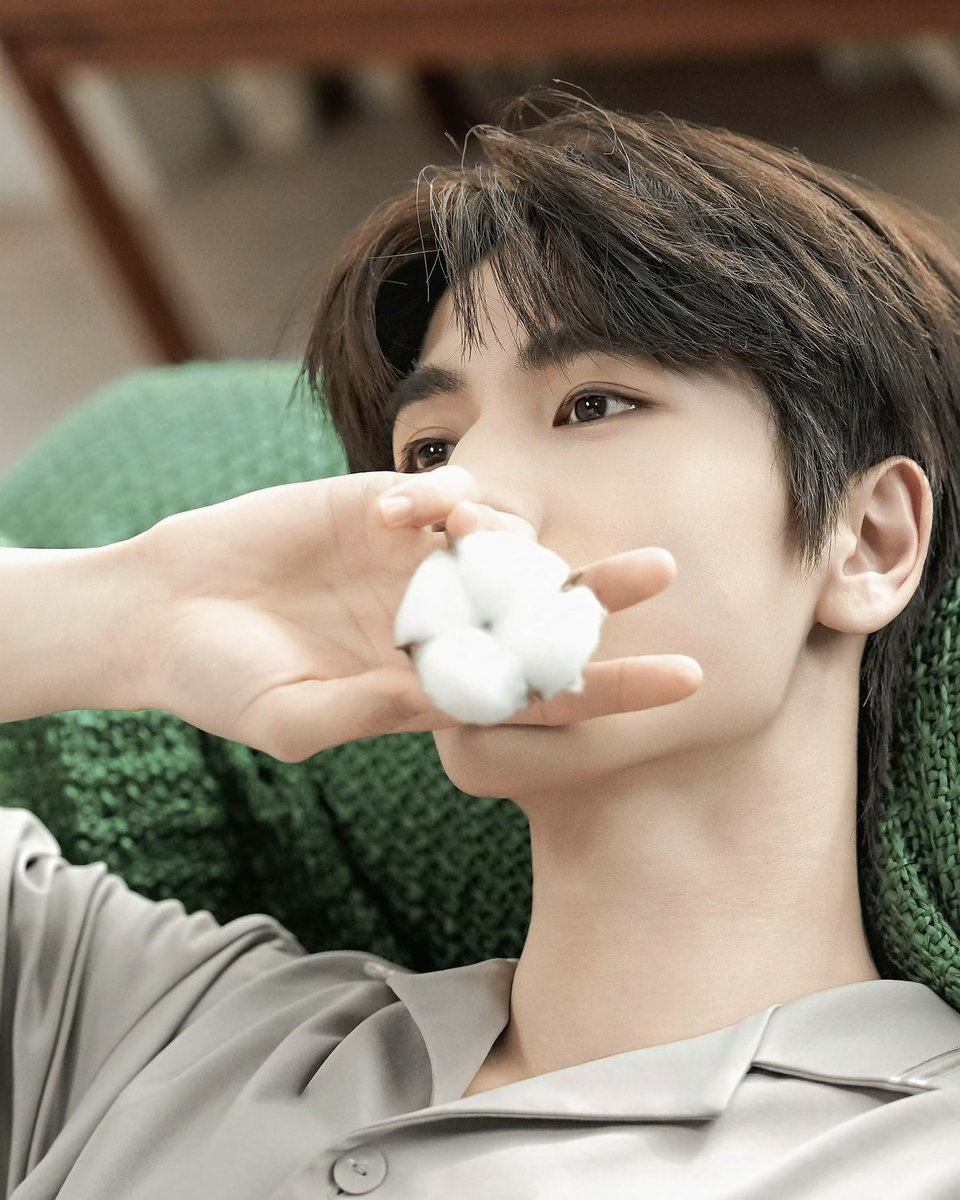 scent tweet media