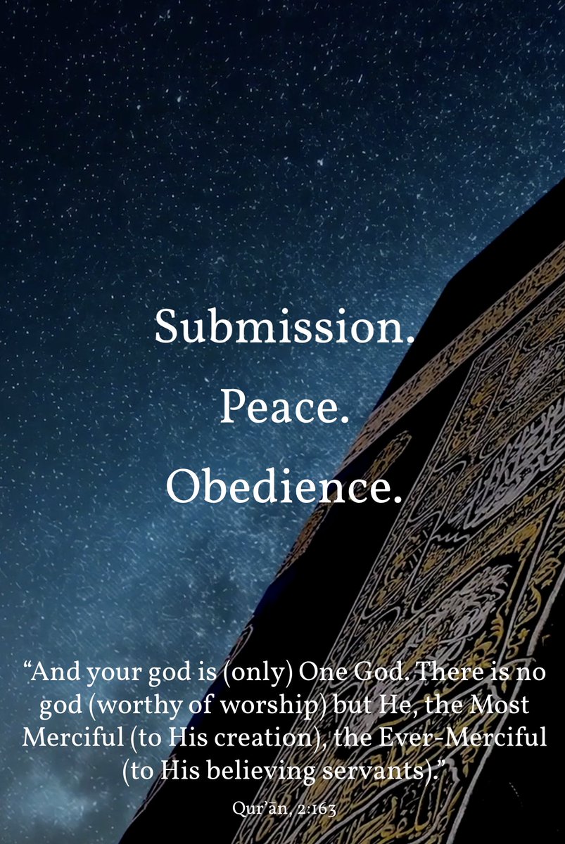 𝐭𝐫𝐨𝐢𝐝.𝐨𝐫𝐠 tweet media