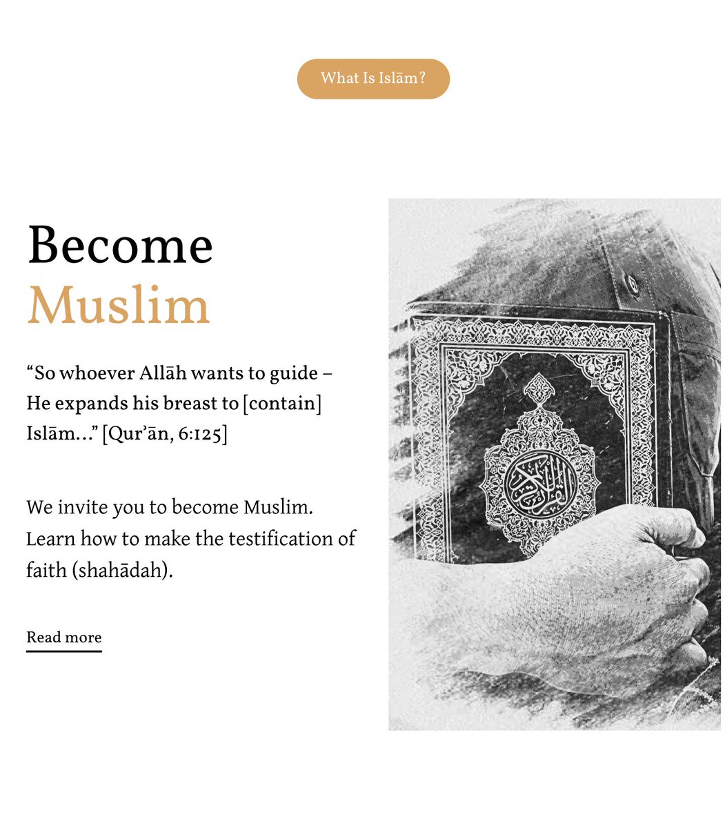 𝐭𝐫𝐨𝐢𝐝.𝐨𝐫𝐠 tweet media