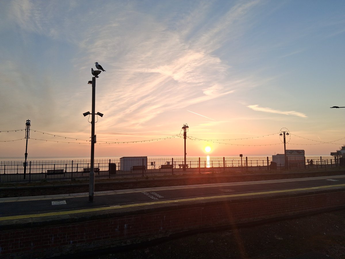 Matthew Lowson tweet media