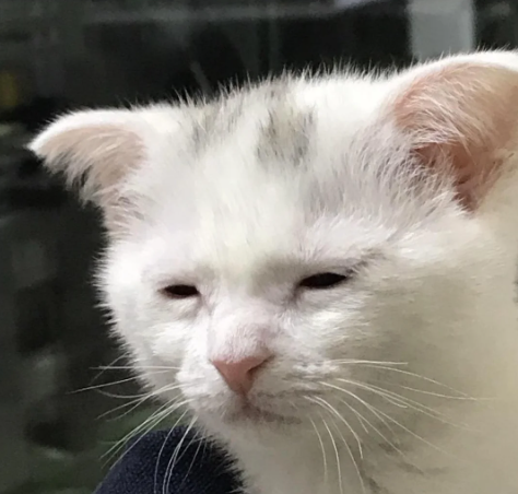 Yep, the memecoin tsunami is slowly rolling in. And <a href="/finnbags/">FINN</a> is happily interacting with all that.

This was their bio back in May: "Trade Crypto With Friends l Start a business on chain <a href="/LaunchOnBags/">@LaunchOnBags</a>"

I'm just too old for this shit...