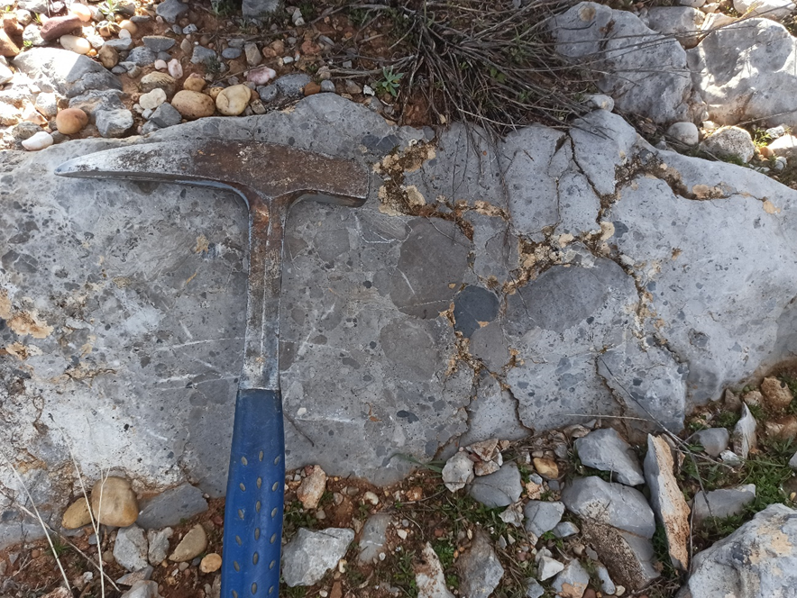 Departamento de Geología USAL tweet media