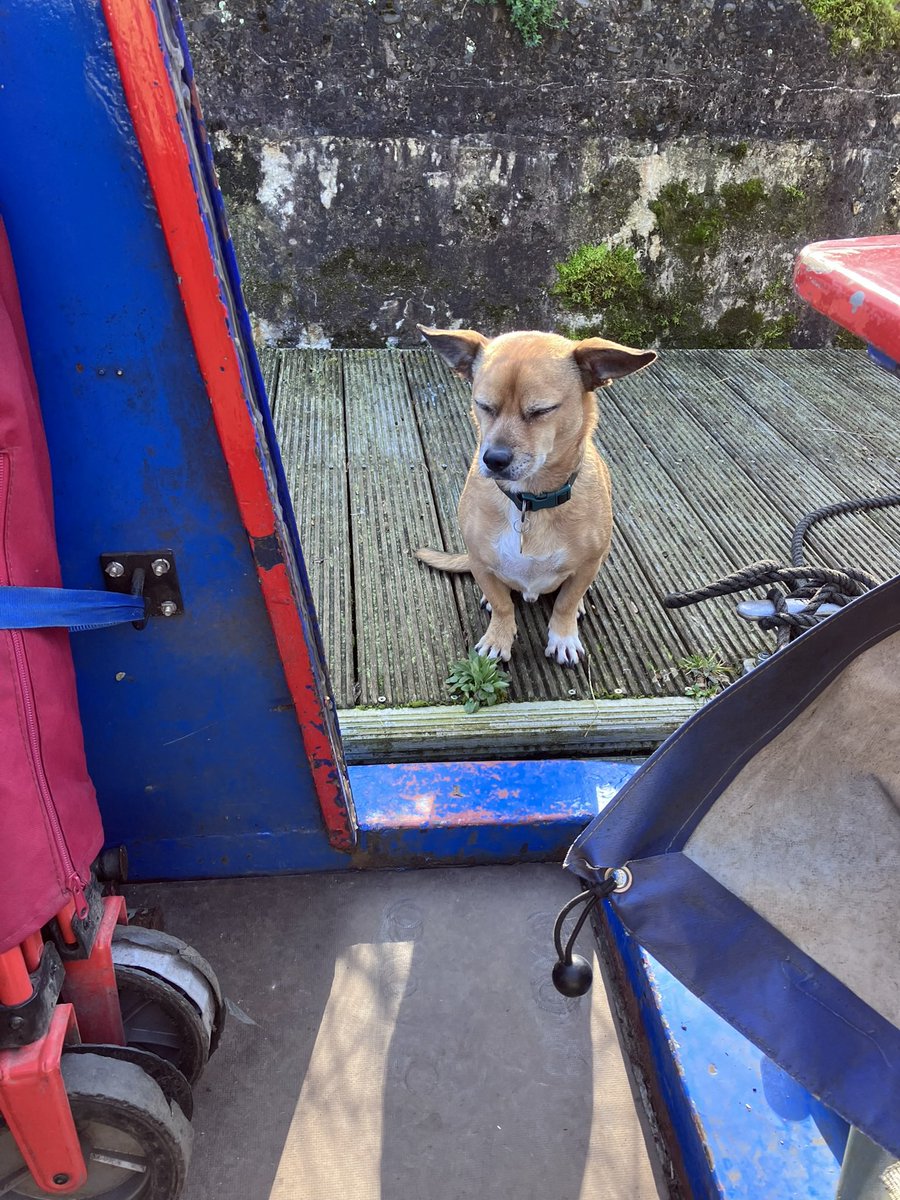 Jay Banbrooke tweet media