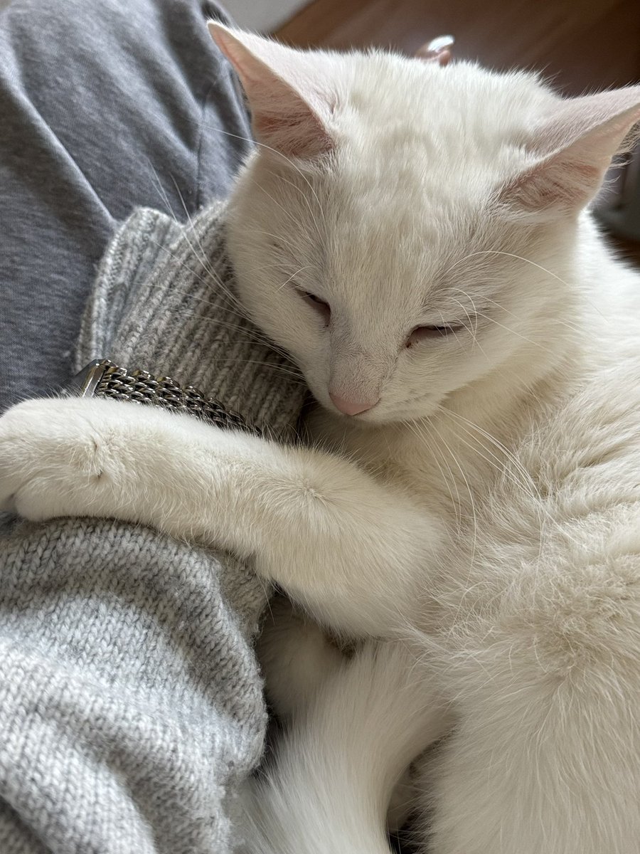 Elizabeth Artist tweet media