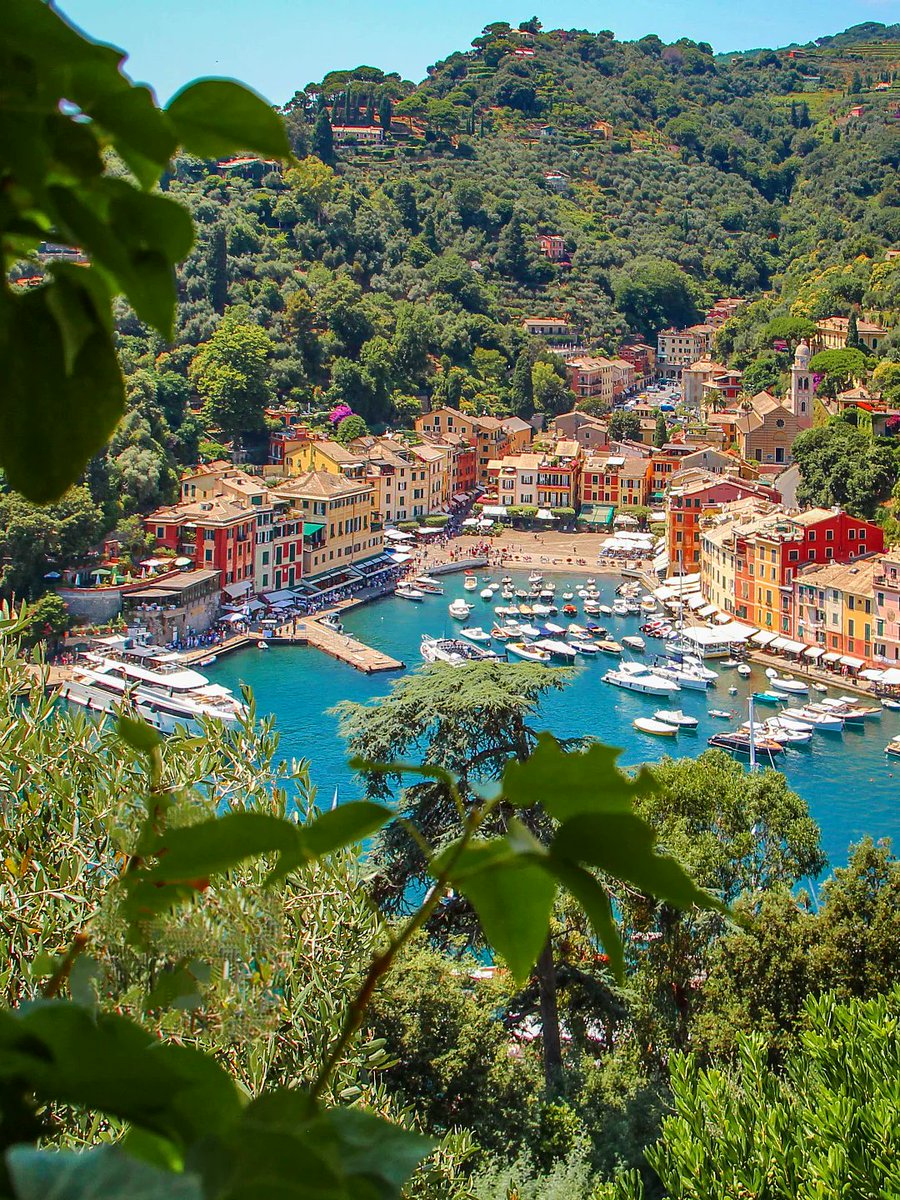 Amazing Eyes tweet media