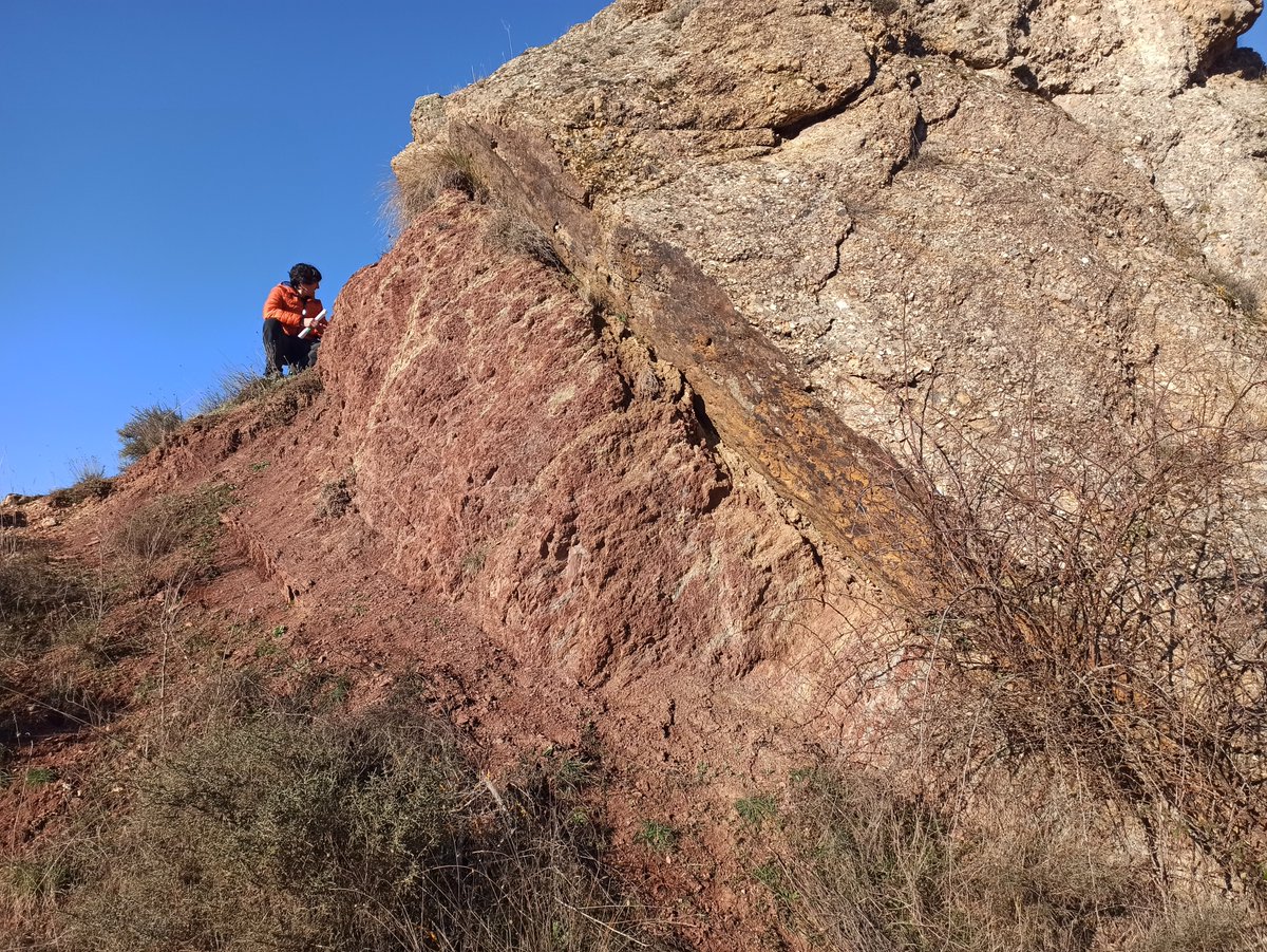 Departamento de Geología USAL tweet media