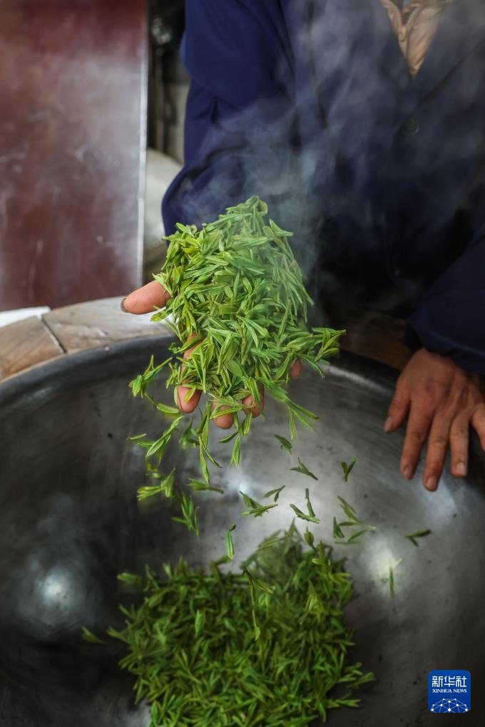 人民日報  People's Daily tweet media